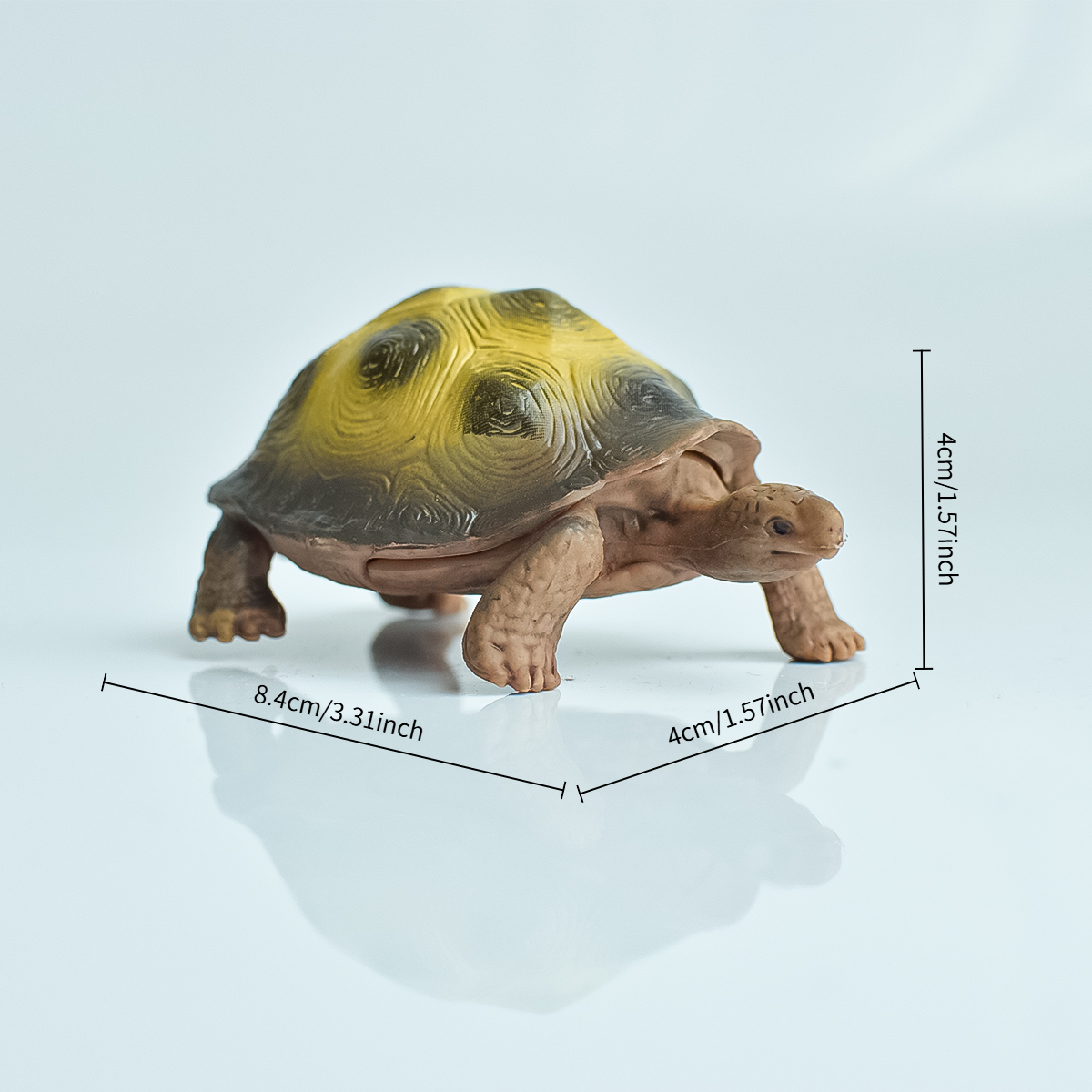 Painted Realistic Animal Turtl – Aquarium Marine Fish Bewertung und Preis