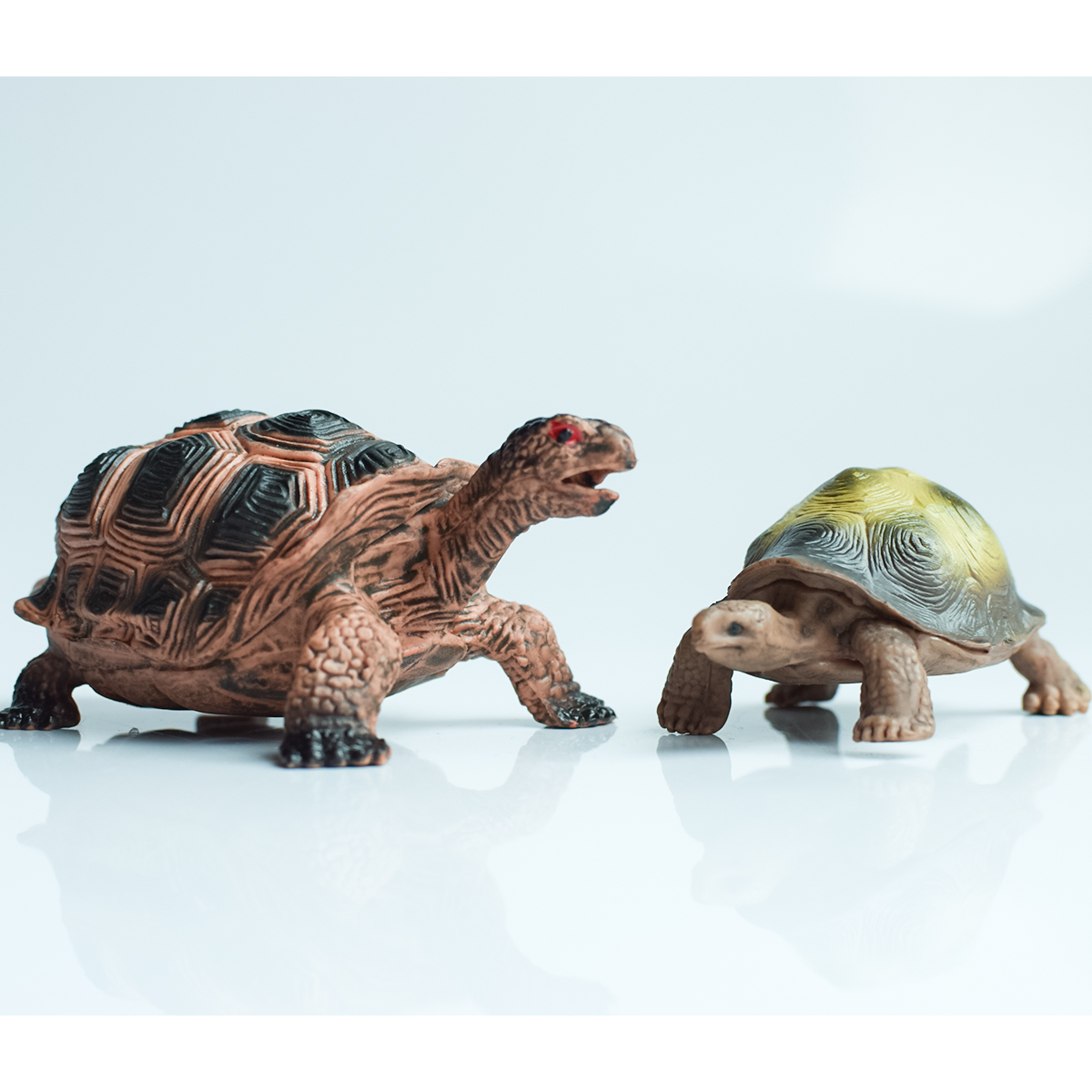Painted Realistic Animal Turtl – Aquarium Marine Fish Bewertung und Preis