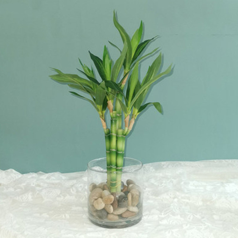 New 40cm rFtificial Lucky Bamb – Aquarium Marine Fish Bewertung und Preis