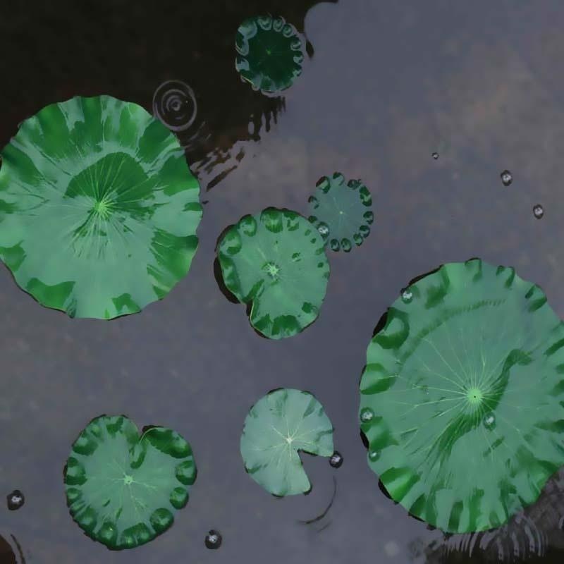 2026 Artificial Water Lily Lot – Aquarium Marine Fish Bewertung und Preis