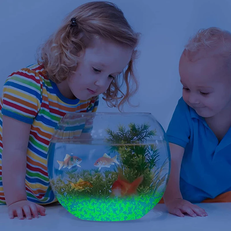 1000pcs 3-5mm Luminous Sand Gl – Aquarium Marine Fish Bewertung und Preis