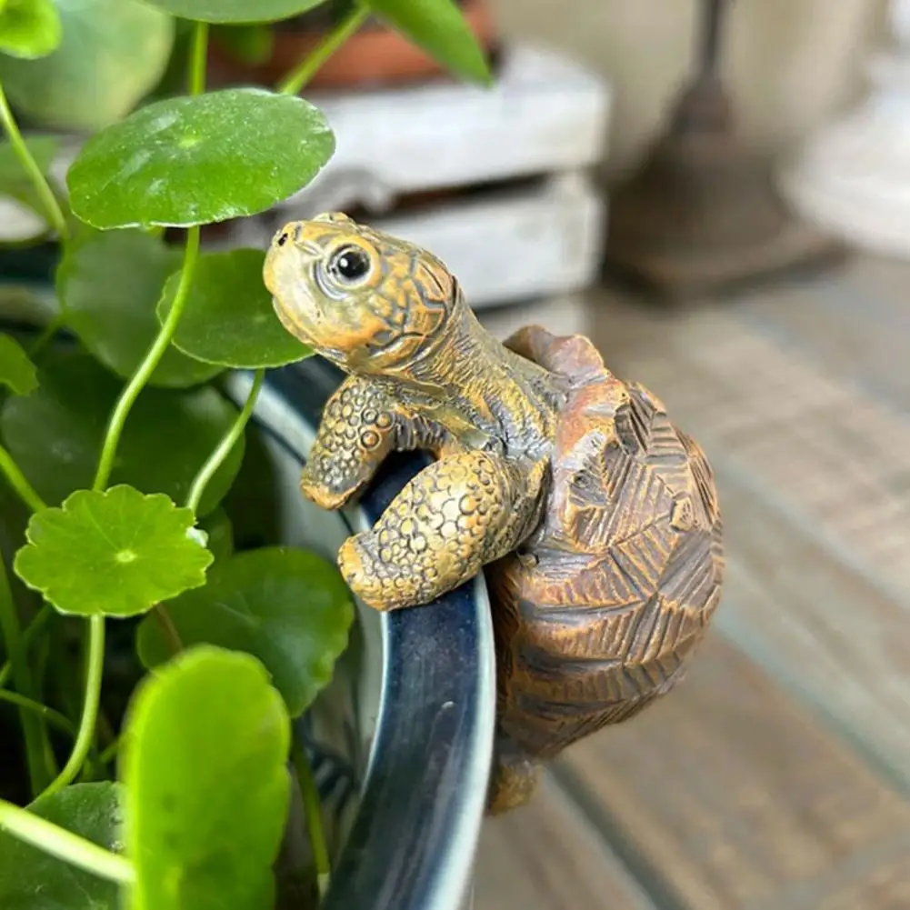 Fishing Turtle Hanging Turtle  – Aquarium Marine Fish Bewertung und Preis
