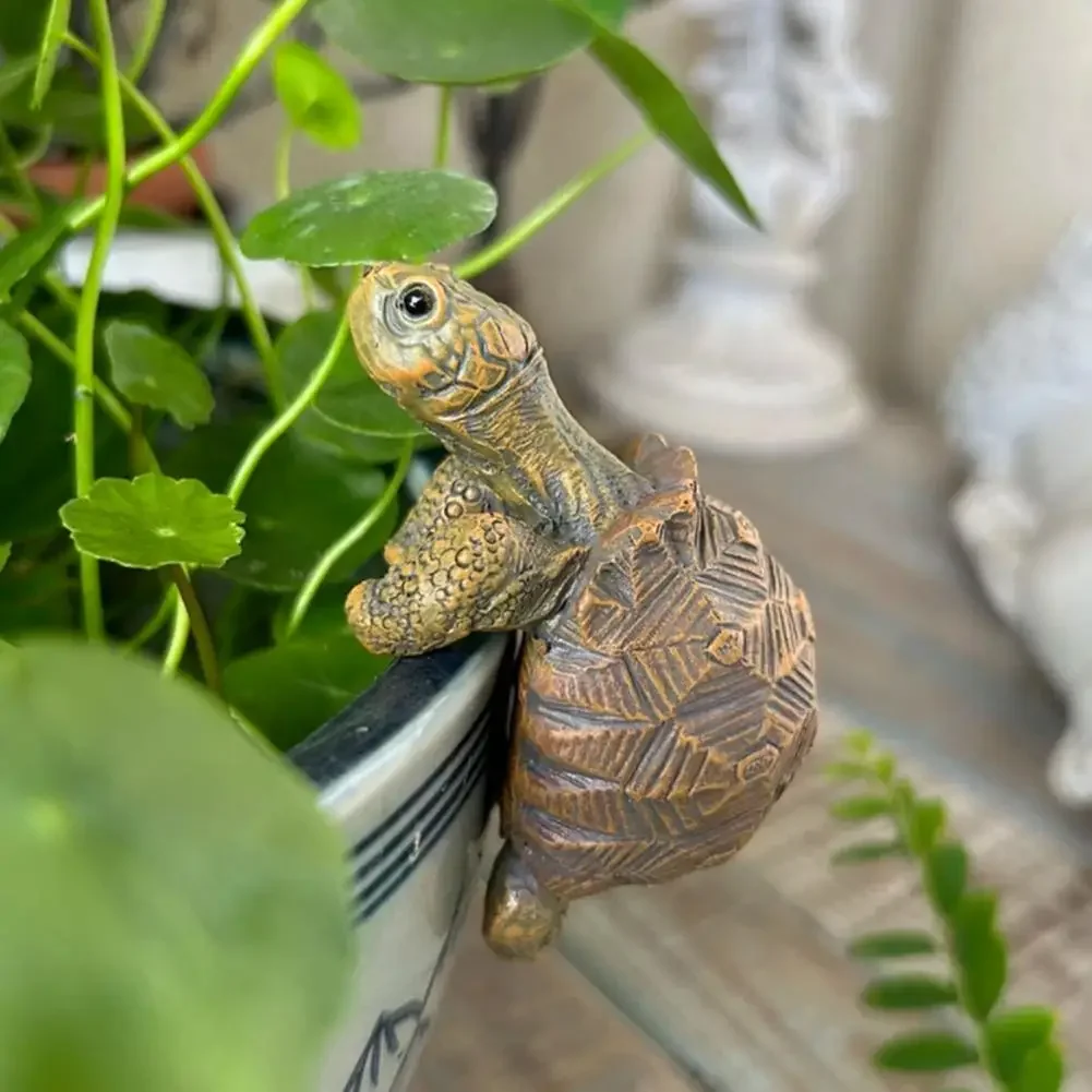 Fishing Turtle Hanging Turtle  – Aquarium Marine Fish Bewertung und Preis