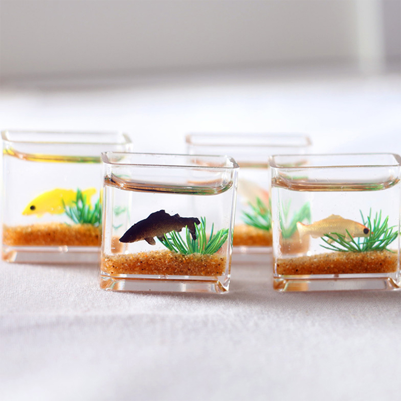 1Pc Mini Fish Tank Random Colo – Aquarium Marine Fish Bewertung und Preis