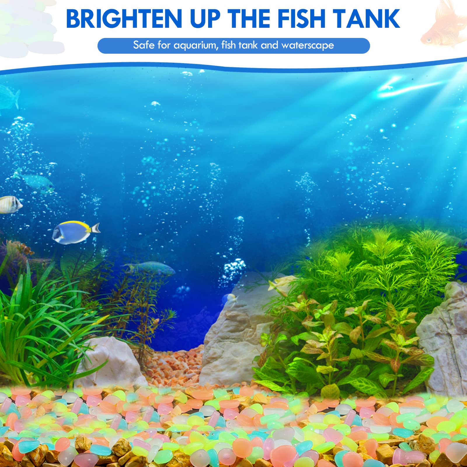 100Pcs Glow in the Dark Garden – Aquarium Marine Fish Bewertung und Preis