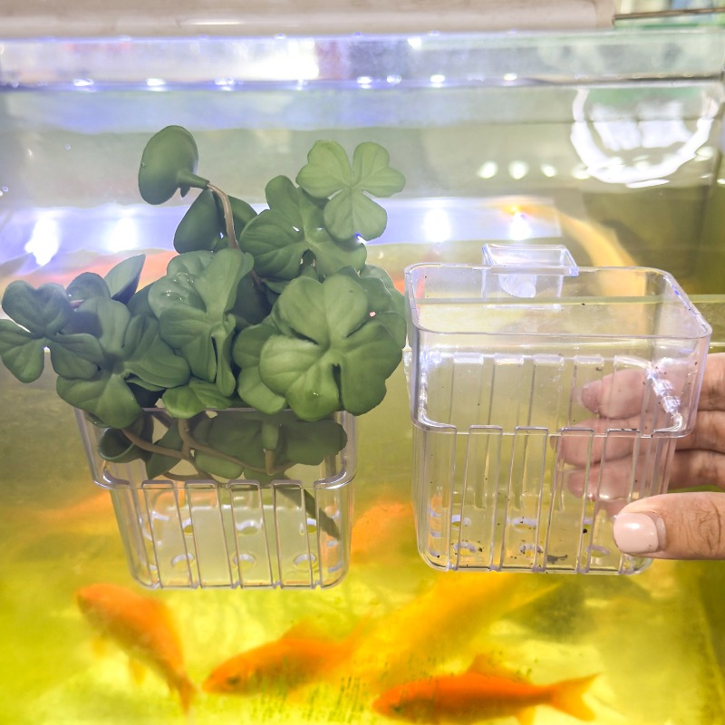 1/5pcs Aquarium Decoration Pla – Aquarium Marine Fish Bewertung und Preis