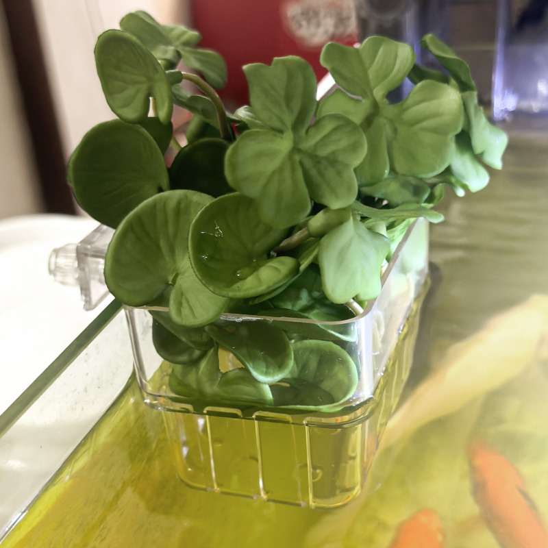 1/5pcs Aquarium Decoration Pla – Aquarium Marine Fish Bewertung und Preis