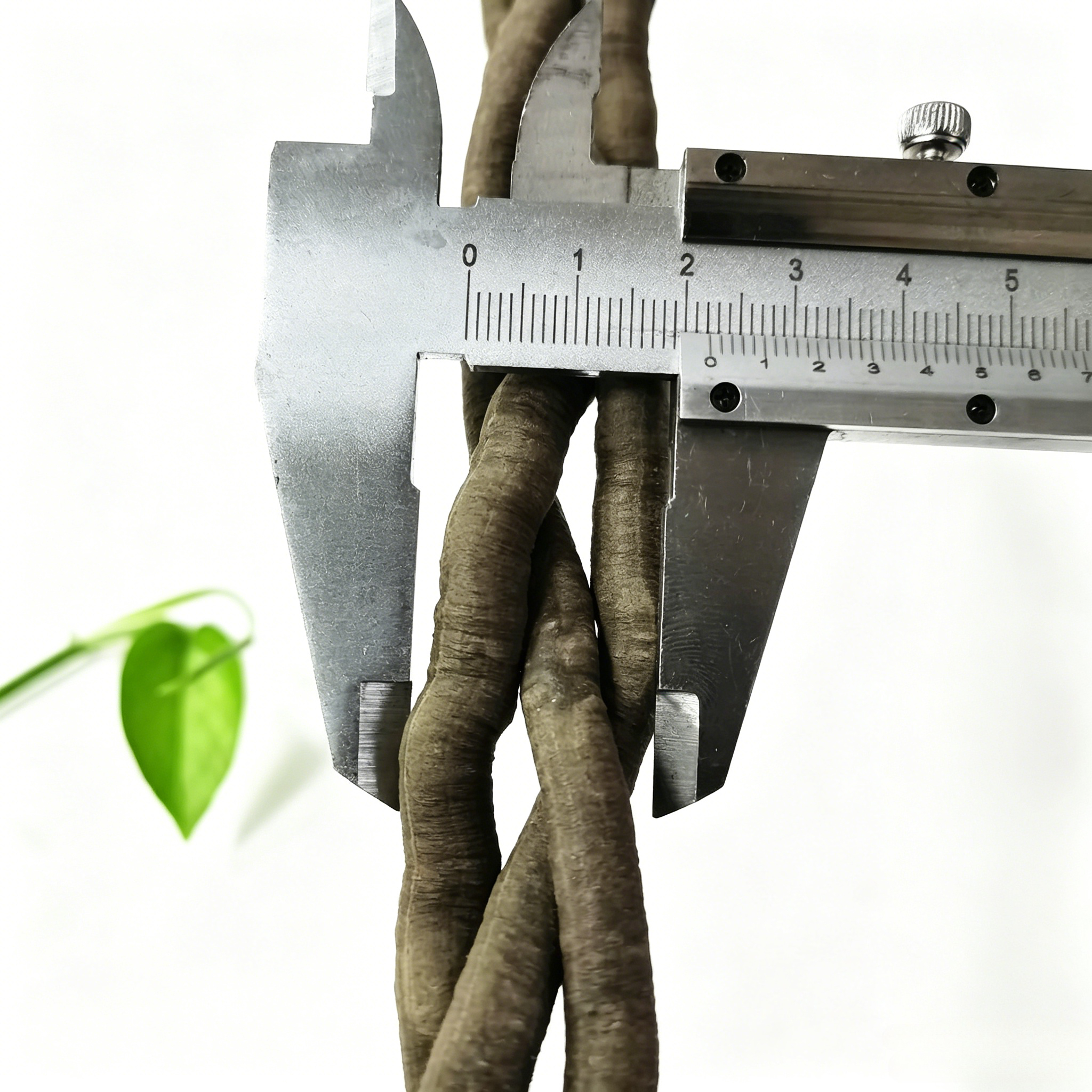 100cm Artificial Vine Plant Cl – Aquarium Marine Fish Bewertung und Preis