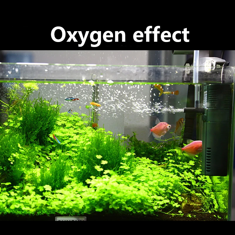 SUNSUN mini nano 111B 311B 611 – Marine Aquarium Reactors Bewertung und Preis