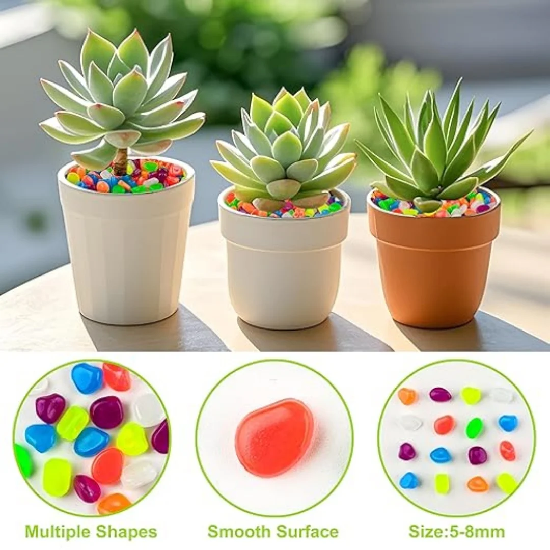 500Pcs Glow in The Dark Garden – Aquarium Marine Fish Bewertung und Preis